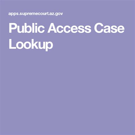 Public Access Case Lookup .